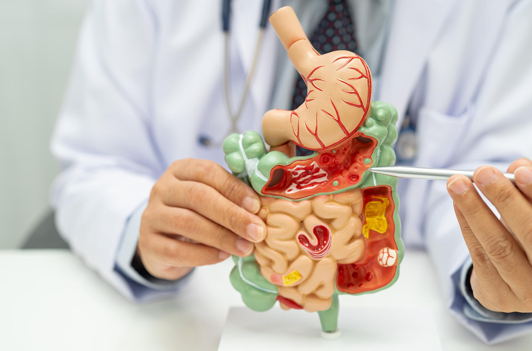 Fermented Yeast Protein Powder & Digestive Health: The Gut-Friendly Choice