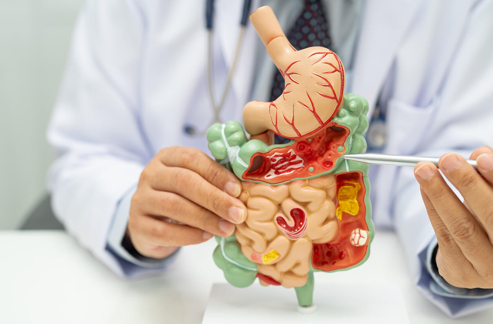 Fermented Yeast Protein Powder - The Gut-Friendly Choice