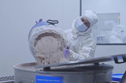  How Fermentation Removes Anti-Nutrients and Unlocks Better Protein