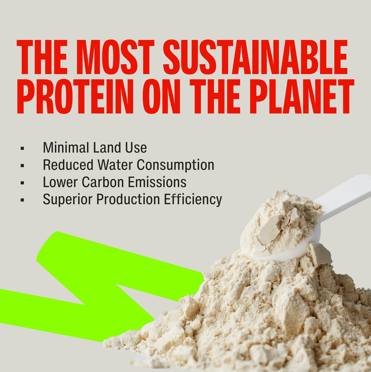 Chocolate - Fermented Yeast Protein