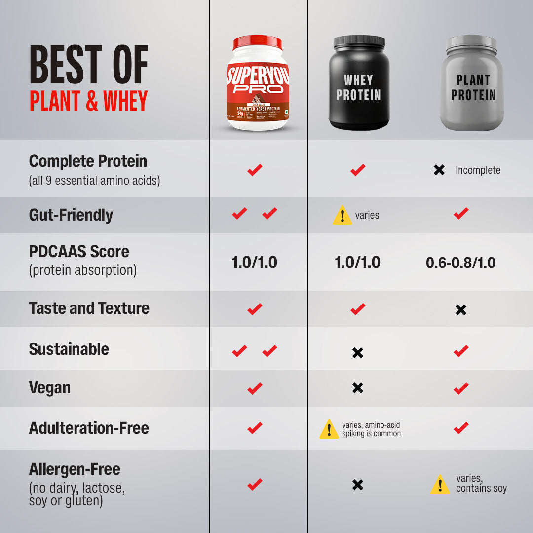 Chocolate Fermented Yeast Protein - 500g Jar
