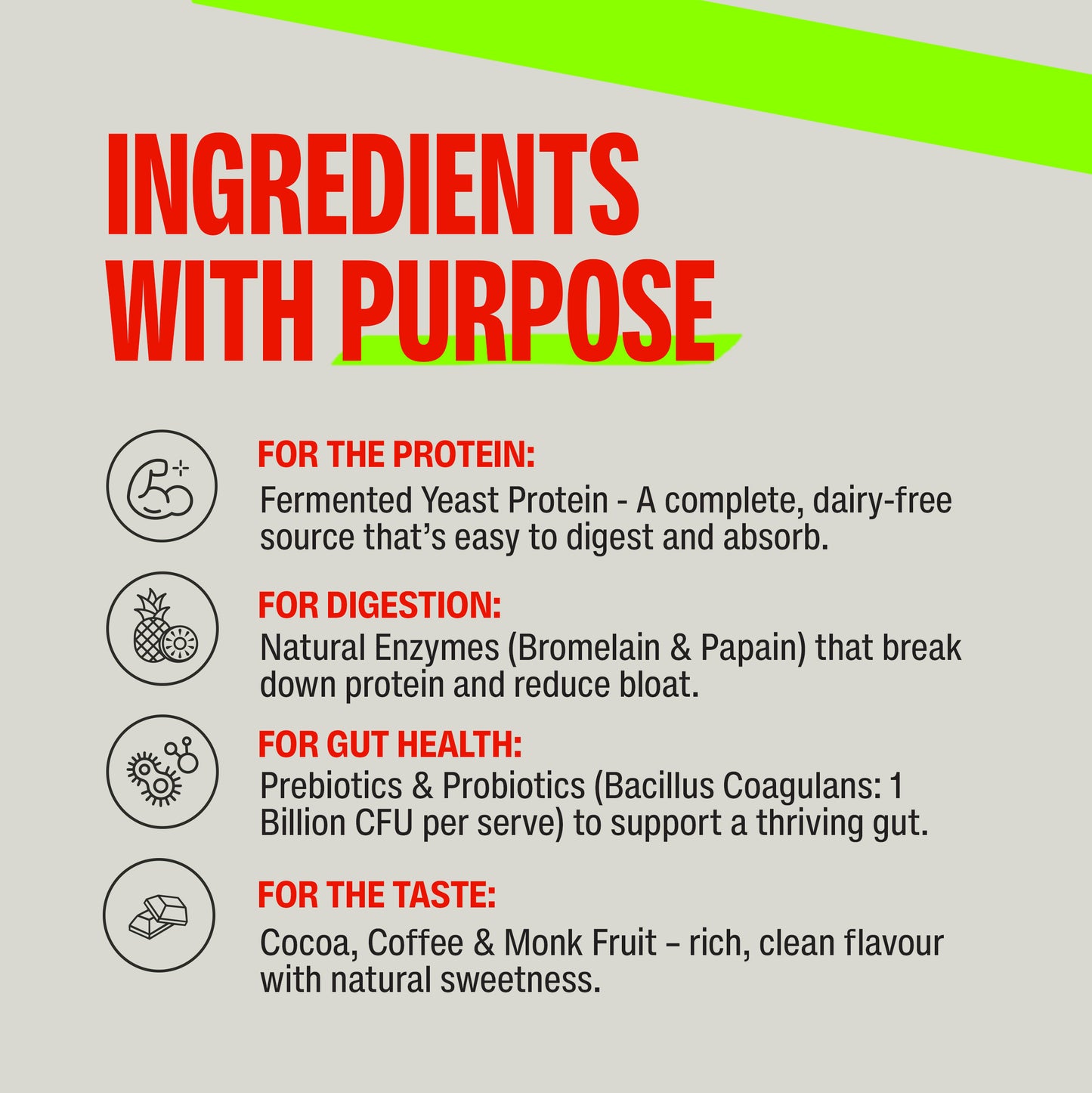 Chocolate 1 Kg - Fermented Yeast Protein