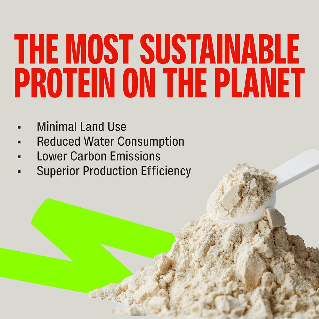 Cold Coffee Fermented Yeast Protein - 500g